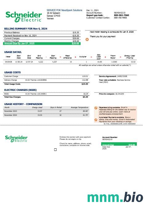 Szablon rachunku za media biznesowe Jemen Schneider Electric w formatach Word i PDF